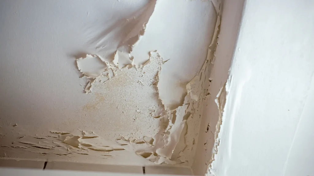 What Causes Bathroom Ceiling Paint Peeling 