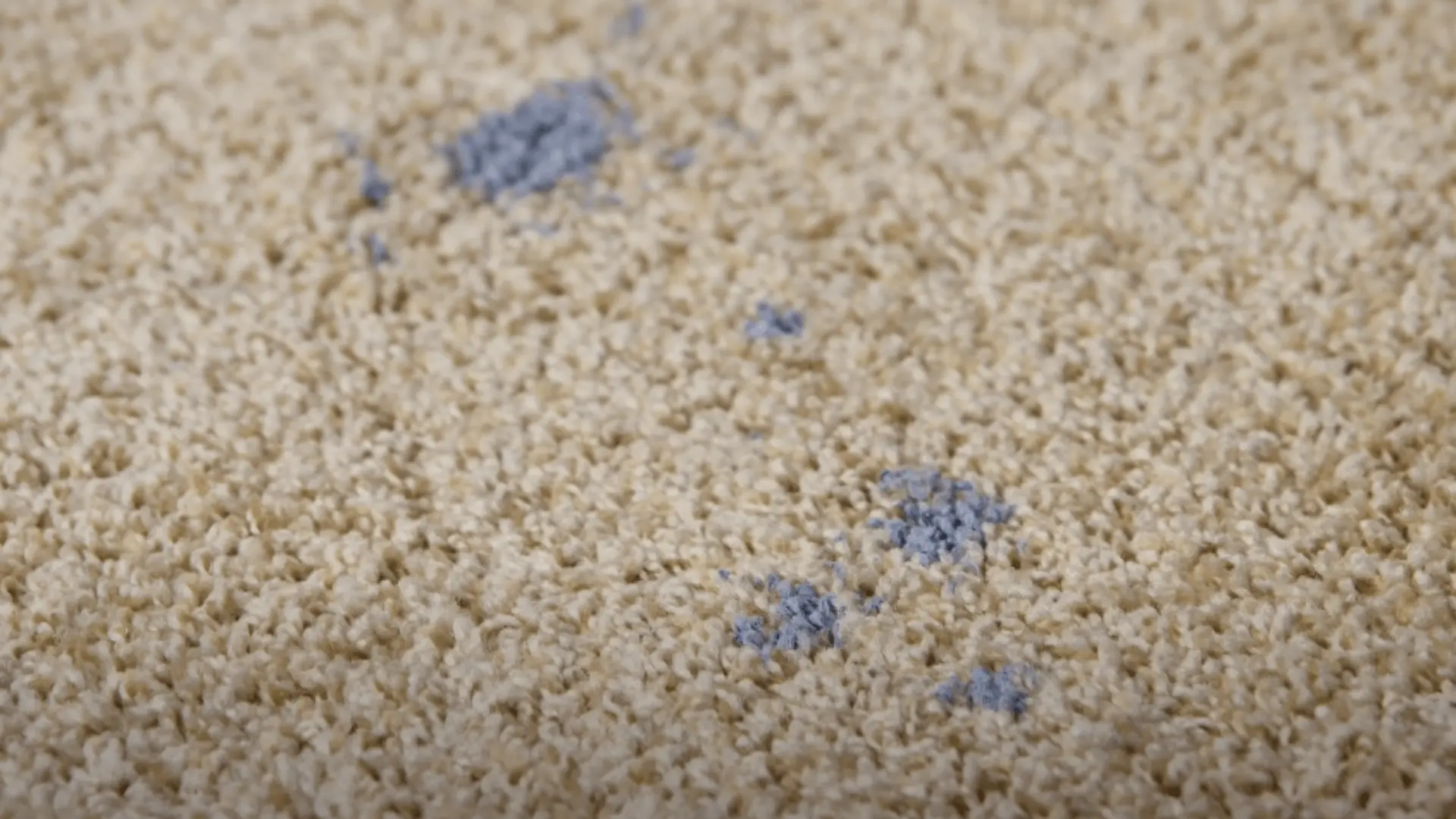 How to Get Paint Out of Carpet: Tips & Tricks for a Clean Result