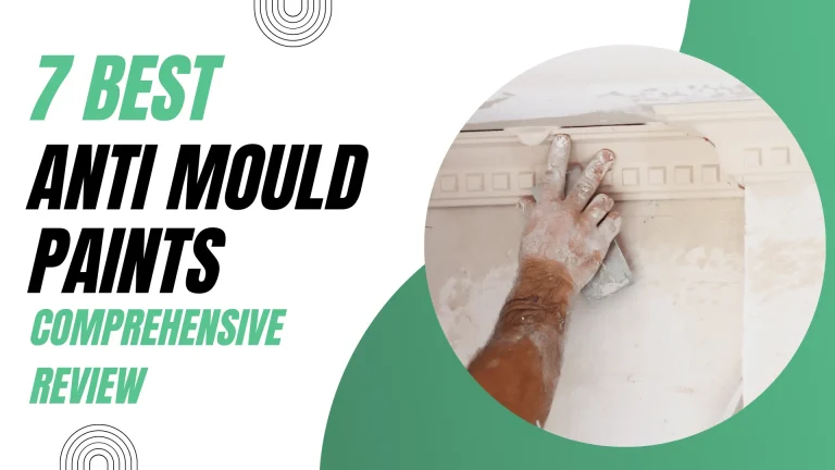 7 Best Anti Mould Paints For Your Home Comprehensive Review