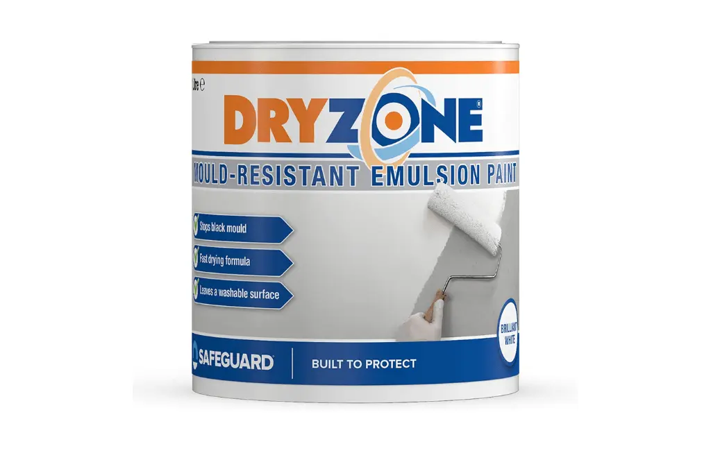 Ideal for Professionals Dryzone Mould Resistant Emulsion-min
